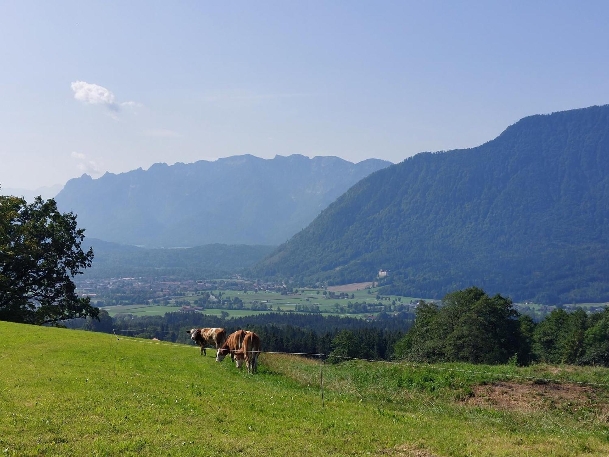 Fuchsbauernhof Villa Piding Exteriör bild