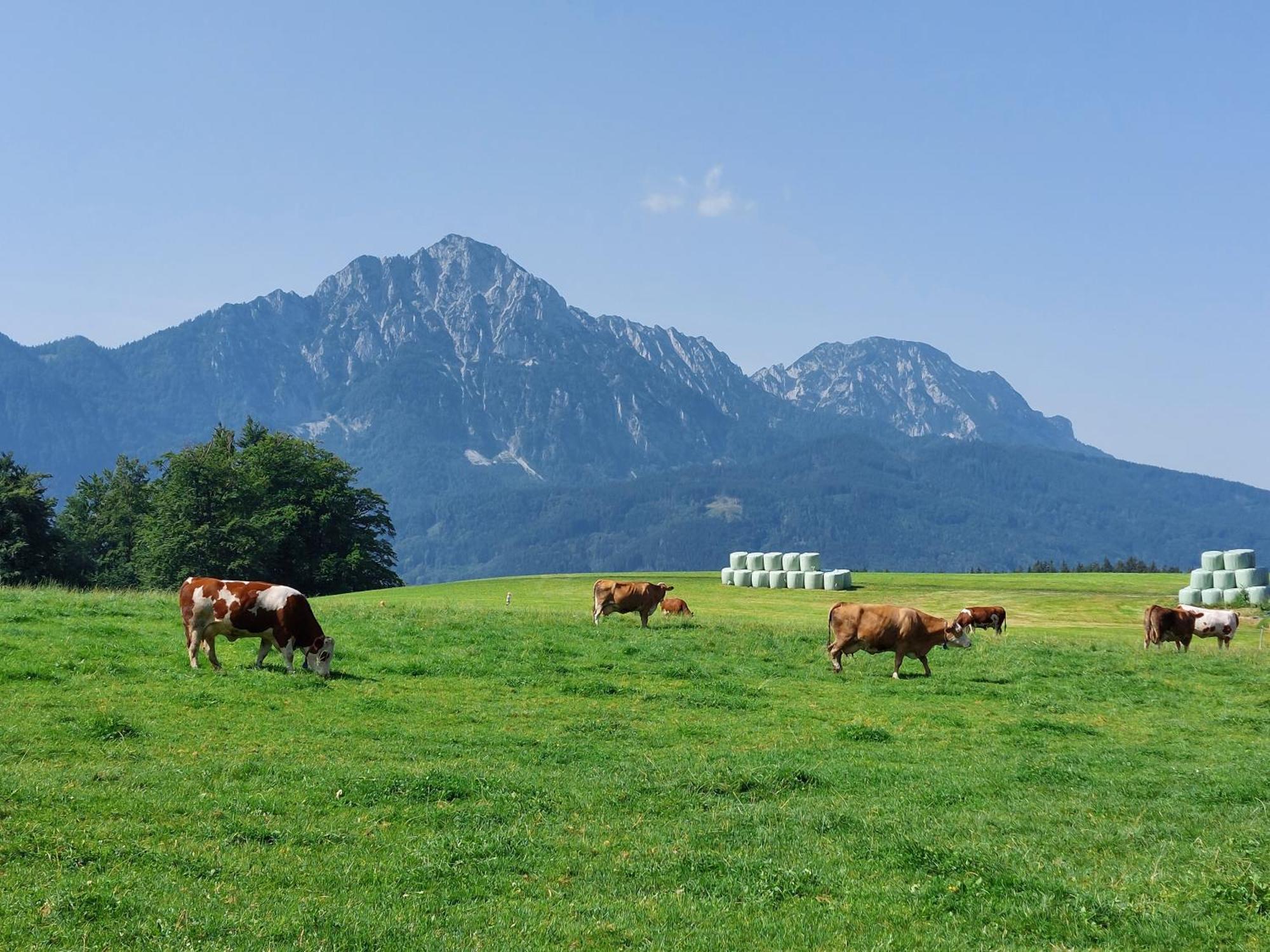 Fuchsbauernhof Villa Piding Exteriör bild