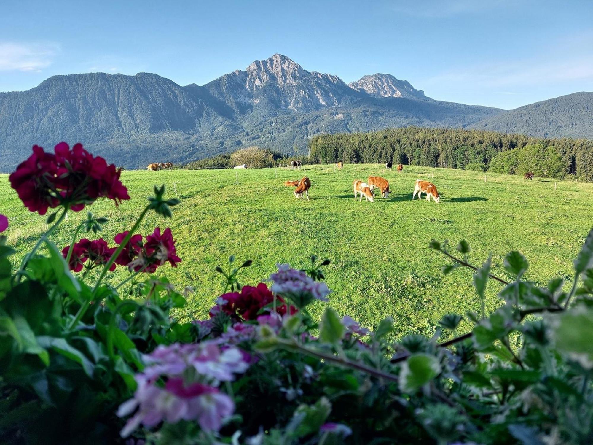 Fuchsbauernhof Villa Piding Exteriör bild